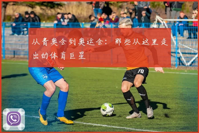 从青奥会到奥运会：那些从这里走出的体育巨星