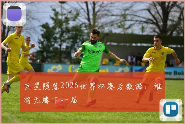 巨星陨落2026世界杯赛后数据，谁将无缘下一届