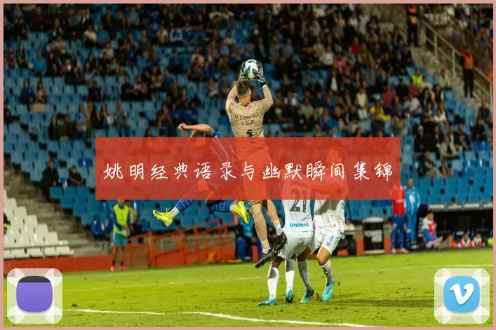 姚明经典语录与幽默瞬间集锦