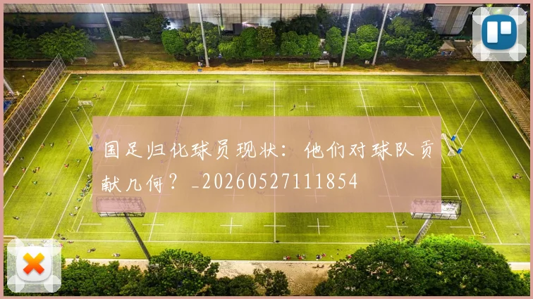 国足归化球员现状：他们对球队贡献几何？_20260527111854